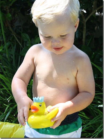 duck
