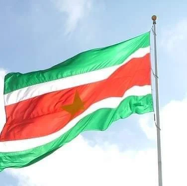 " National flag of the Democratic Republic of Suriname"