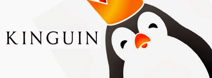  http://www.kinguin.es/