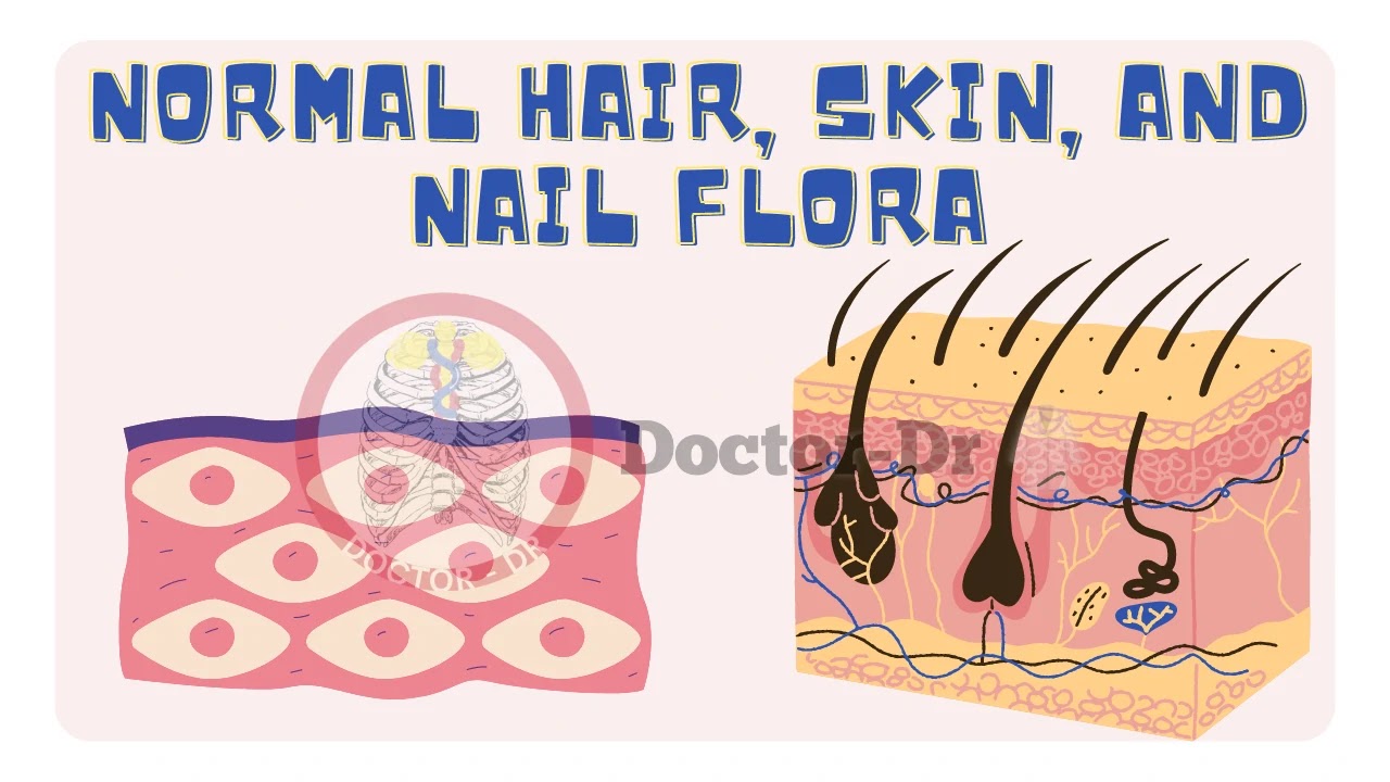 Normal Hair, Skin, and Nail Flora