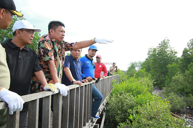 Taman Mangrove Berbas Akan Jadi Wisata Edukasi