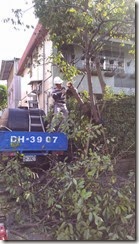 IMAG9920