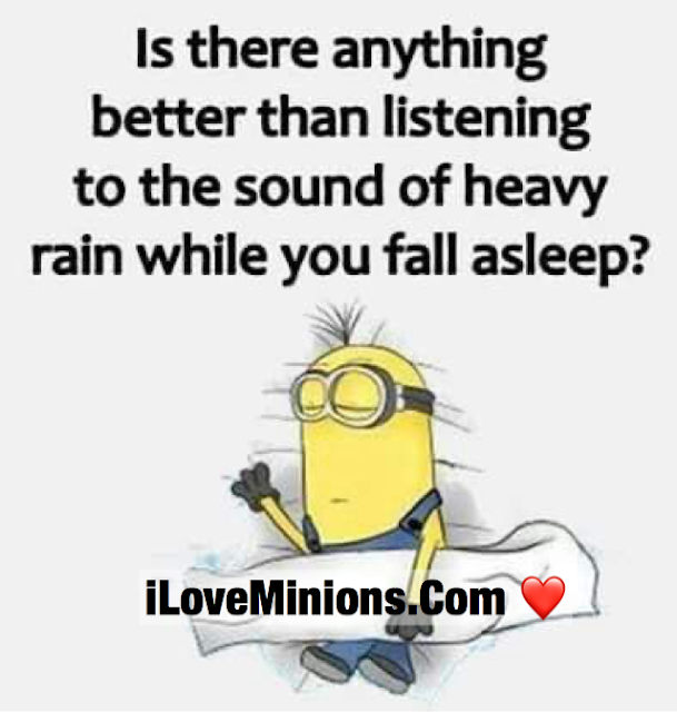  Minion life quote 