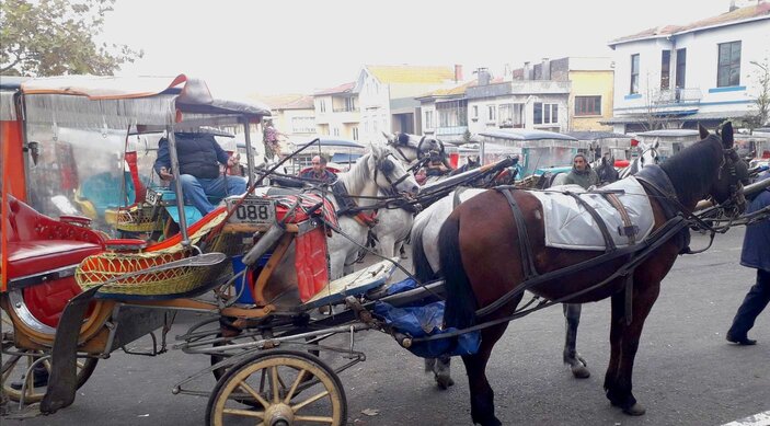 horse drawn carriages