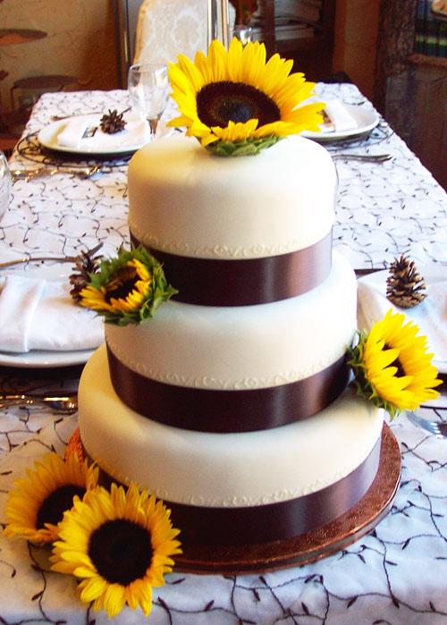 White wedding cake over three round tiers with wide black satin ribbon and