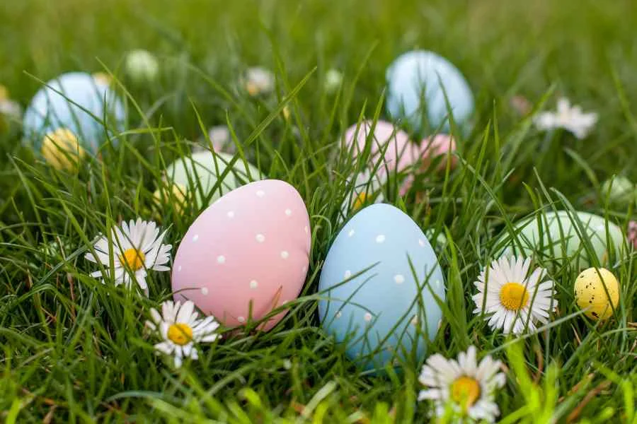 A patch of grass with daisies and Easter Eggs