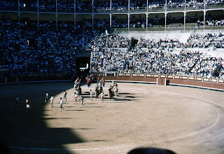 Bull-fights in Madrid, Spain