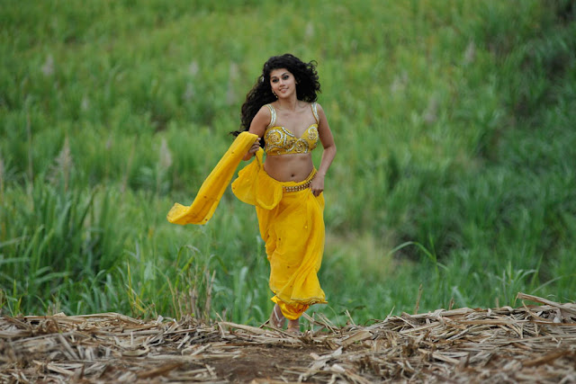 tapsee new spicy saree in mogudu photo gallery