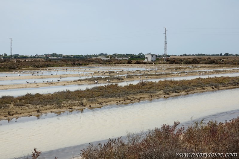 Ruta de los Esteros (Chiclana)