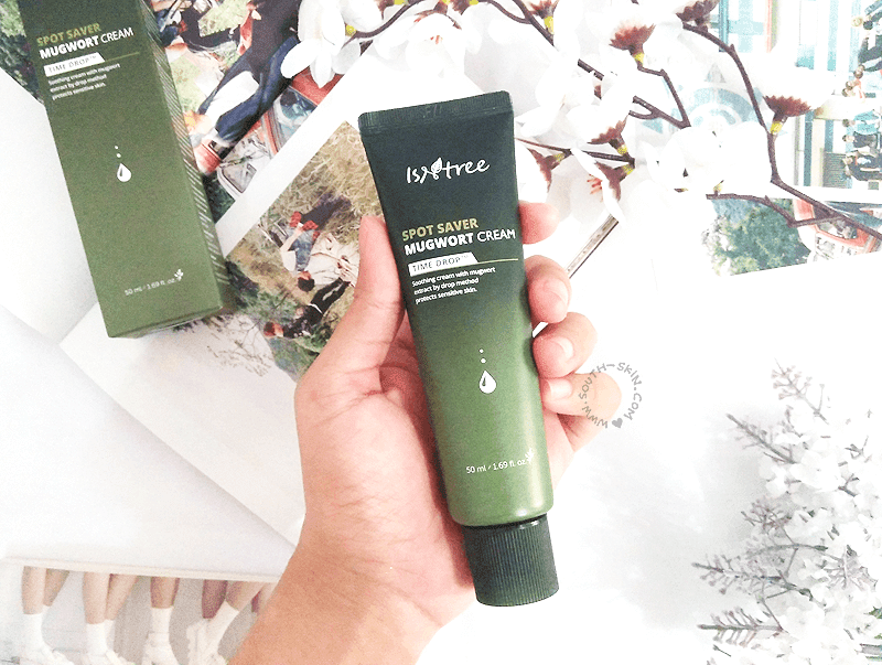 review-isntree-spot-saver-mugwort-cream-southskin