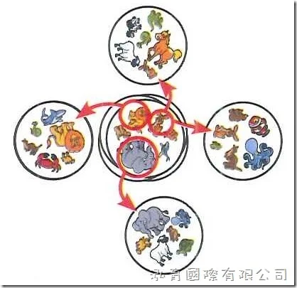 哆寶兒童版_玩法5