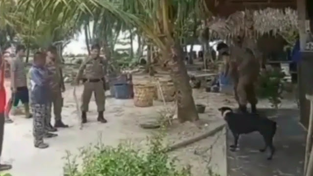 Viral Anjing Mati Saat Evakuasi di Pulau Banyak Aceh, Warga: Sudah Gigit Orang