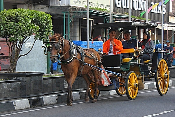 Enem Kabeh 6 Asal Nama Kereta Kuda Khas di Indonesia