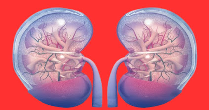 How to Reverse Kidney Damage from Diabetes