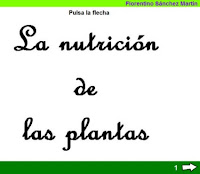 http://cplosangeles.juntaextremadura.net/web/edilim/tercer_ciclo/cmedio/las_plantas/la_nutricion_de_las_plantas/la_nutricion_de_las_plantas.html