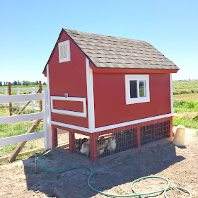 Barn Chicken Coop