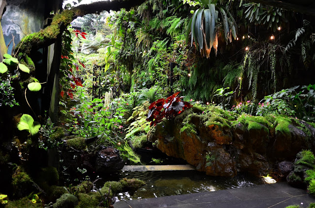 Las Deszczowy - Cloud Forest Dome - Singapur