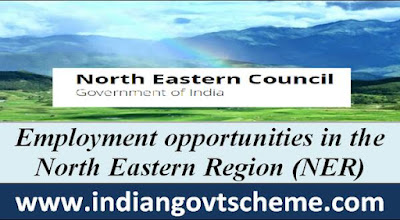 employment_opportunities_in_the_north_eastern_region_ner
