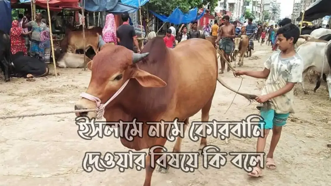 ইসলামে নামে কোরবানি দেওয়ার বিষয়ে কি বলে
