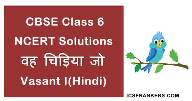 NCERT Solutions for Class 6th Hindi Chapter 1 वह चिड़िया जो