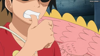 ワンピースアニメ パンクハザード編 615話 ルフィ Monkey D. Luffy | ONE PIECE Episode 615