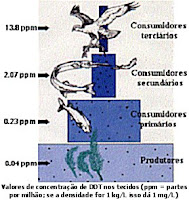 Bioacumulação