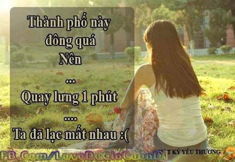 Giay dan tuong