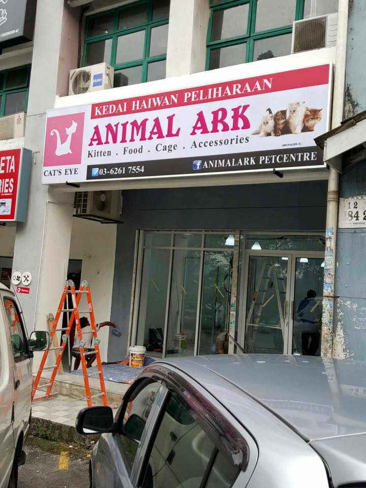 Alyza Fisol: AnimalArk PetCentre Kedai Makanan Kucing Murah