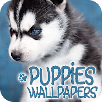 Wallpapers with puppies Apk Download for Android