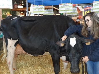 2018.02.25-040 vache Prim'Holstein