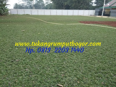 www.tukangrumputbogor.com