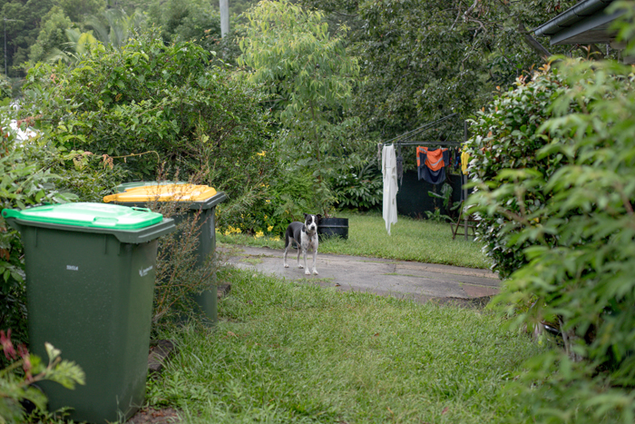 joop in garden