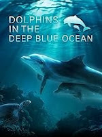 Image: Dolphins in The Deep Blue Ocean | The stunning undersea ballet of dolphins. Inspiring, playful, strong, fascinating, highly skilled animals with a special connection to humans. Watch them play around in the natural environment of the dolphin reef in Eilat, Israel, the world's largest seawater compound