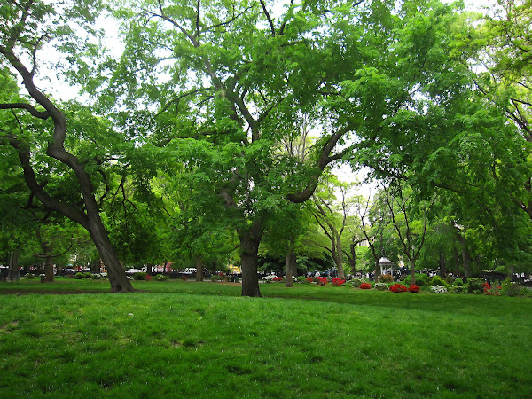 Tompkins Square Park 13 May 2011