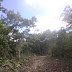 Secretaria de Meio Ambiente embarga atividades de mineração de empresa na Serra do Orobó