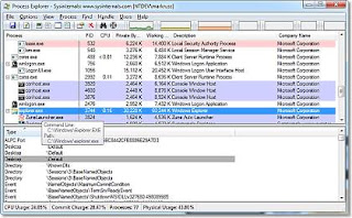 gambar dari process explorer