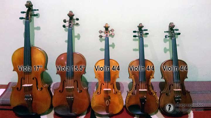 violin-viola