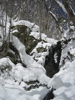 沢の中間では滝が出現