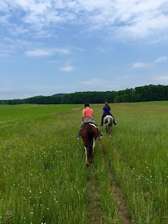 Nicole Rovig riding a horse through a field