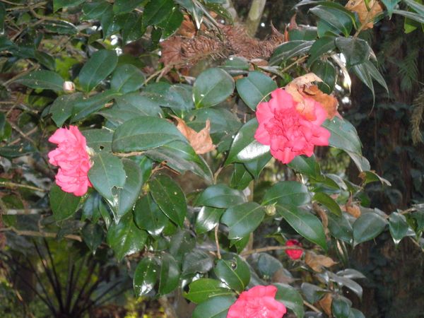 tn_PC120118.JPG
