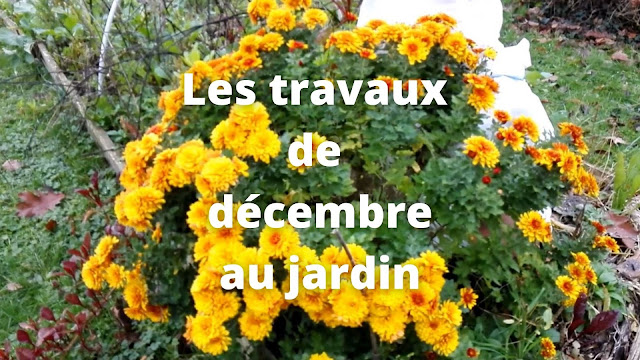 Les travaux de décembre au jardin (vidéo)