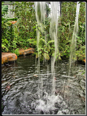 beautiful water fall collections pictures