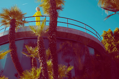 woman in palm trees, fashion shoot in palm springs