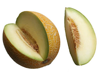 Galia Melon Fruit Pictures