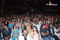 Shriya Saran Pictures from 55th tiger balm filmfare award