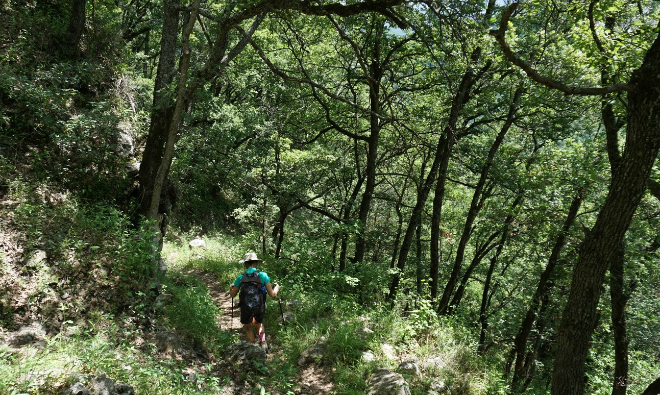 GR4 trail under Gréolières