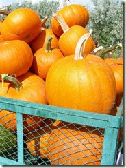 Wagon full of pumpkins