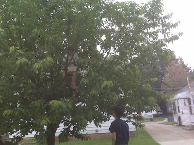 Ken Spots while Elly Climbs the Tree