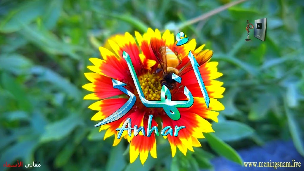 معنى اسم انهار وصفات حاملة هذا الاسم Anhar,