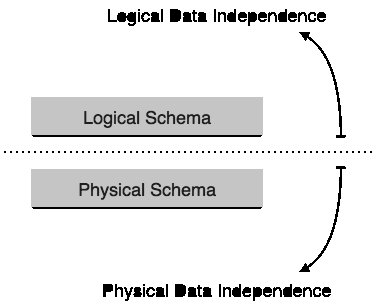 What-is-Database-dbms